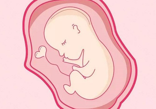精子不好影响泰国试管婴儿成功率，影响精子的因素有哪些？