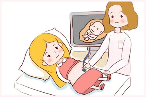 试管婴儿怎么做？高成功率的秘诀有哪些？