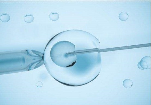 泰国试管成功率咨询：成功率高的关键因素是什么？