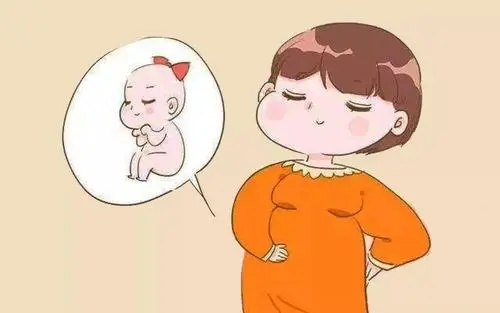 试管婴儿胚胎选哪种好？移植哪种胚胎比较好？
