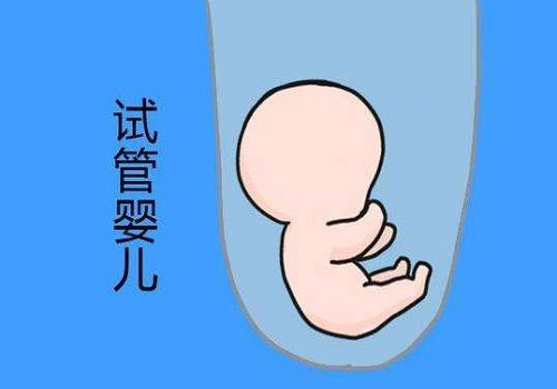 试管婴儿    试管婴儿成功率_12