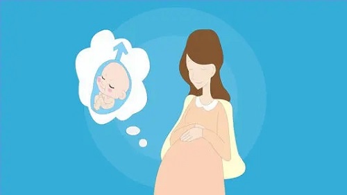 试管婴儿实验室步骤表你了解吗？