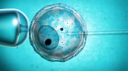 试管婴儿单胎移植后有可能变成吗？