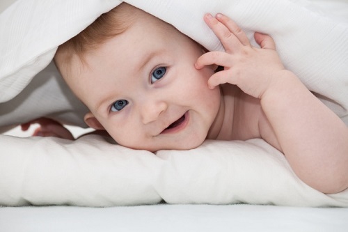 试管婴儿取卵数量越多成功率越高吗？