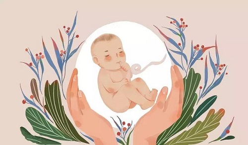 试管婴儿女人要承受多少痛苦？你了解吗？