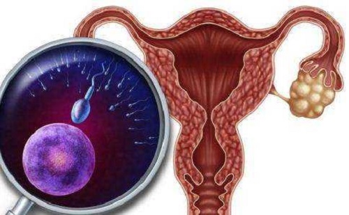 试管婴儿全过程需要多久？整个过程痛不痛？