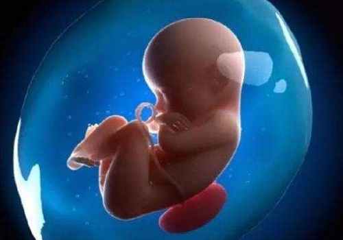 做美国试管婴儿，专家是如何挑选出健康精子的？