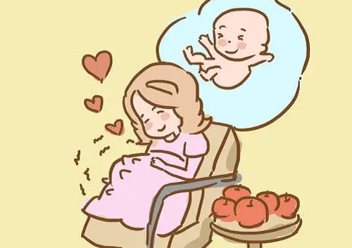 试管婴儿中怎么知道精子与卵子受精成功