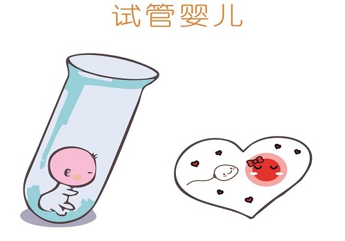 试管婴儿一次多少钱_3