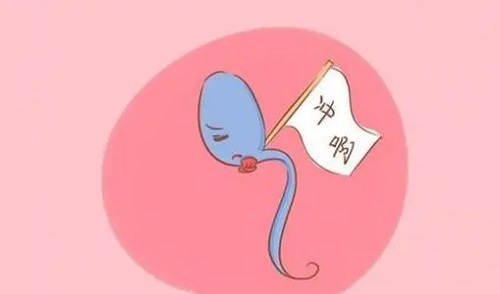 试管婴儿一次成功的几率大吗？这几点不可忽略！