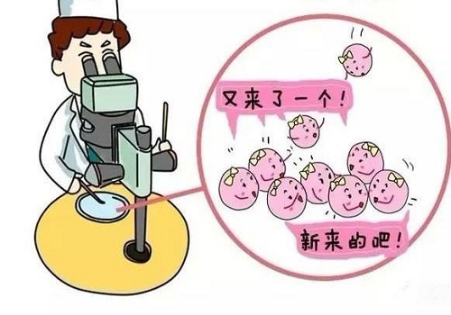 试管婴儿促排卵阶段要注意的事项有哪些