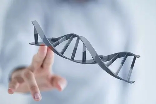 试管婴儿中介多少钱