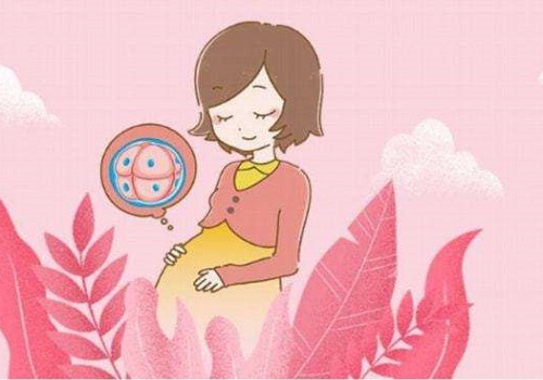 试管婴儿医院成功率有多少