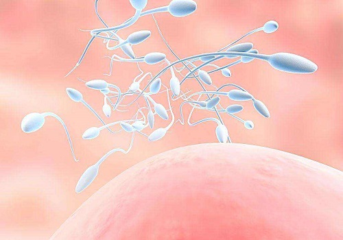 美国试管婴儿：促排卵会造成卵子染色体异常吗？