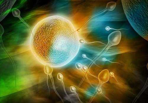 试管婴儿全过程、流程你还不知道吧？