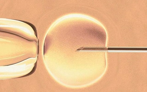 泰国试管移植前子宫内膜处理方案咋样的？