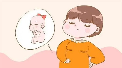 泰国试管放2个胚胎的成活率，高不高？